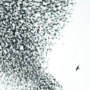 WILCO - Sky Blue Sky - CD - Kliknutím na obrázek zavřete