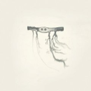 Jose Gonzalez - In Our Nature - CD