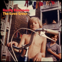 Essex Green - Hardly electronic - CD - Kliknutím na obrázek zavřete