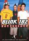 Blink 182 - Not Guilty - DVD