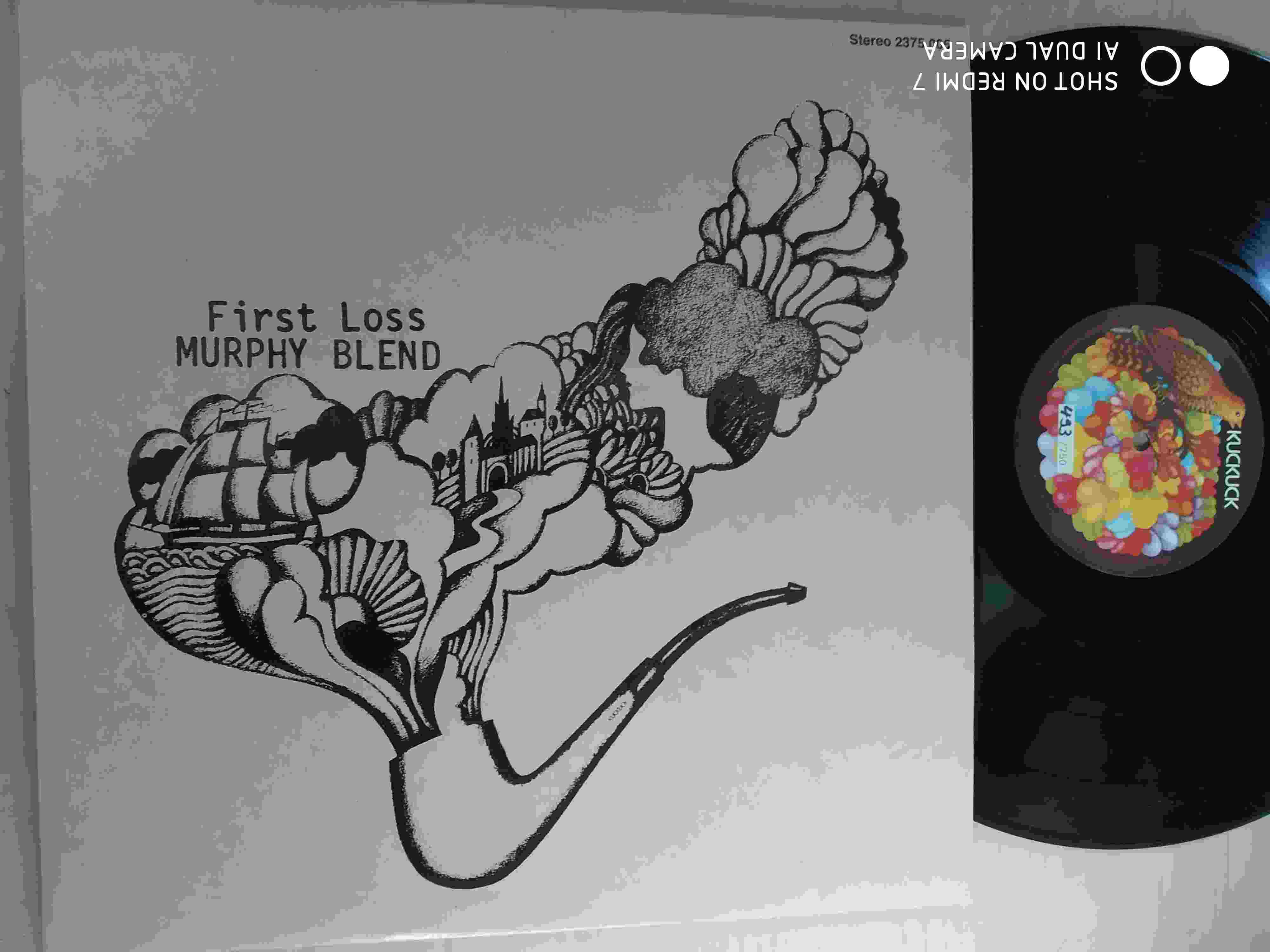 Murphy Blend - First Loss (NUMBERED) - LP