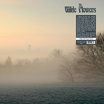 Wilde Flowers - The Wilde Flowers - LP