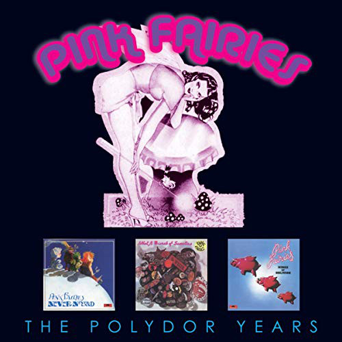 Pink Fairies - The Polydor Years - 3CD - Kliknutím na obrázek zavřete