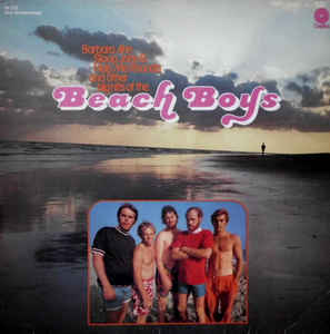 Beach Boys - Beach Boys - LP bazar