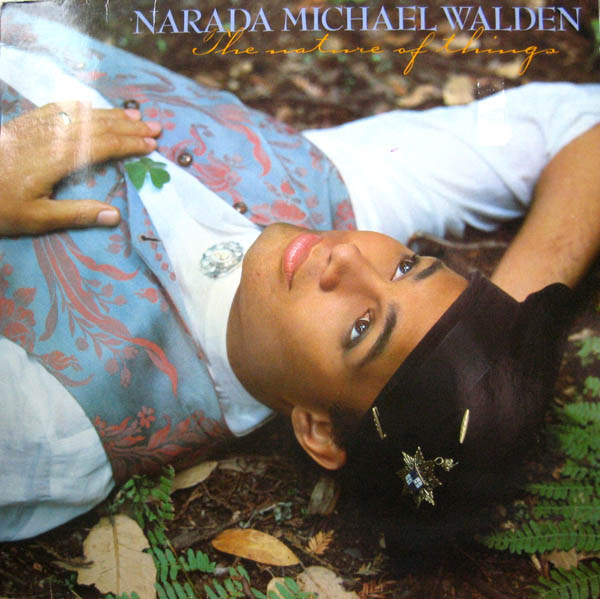 Narada Michael Walden - The Nature Of Things - LP bazar