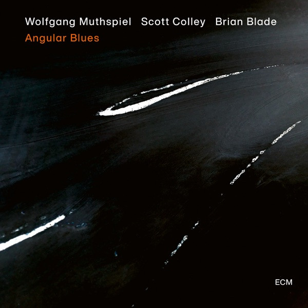 Wolfgang Muthspiel, Scott Colley, Brian Blade - Angular Blues-CD