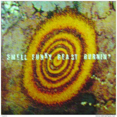 Smell Funky Beast - Burnin' - LP bazar