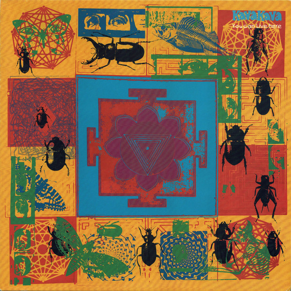 Kava Kava - You Can Live Here - LP bazar