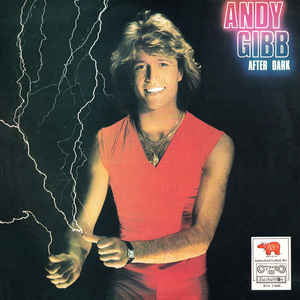 Andy Gibb ‎– After Dark - LP bazar