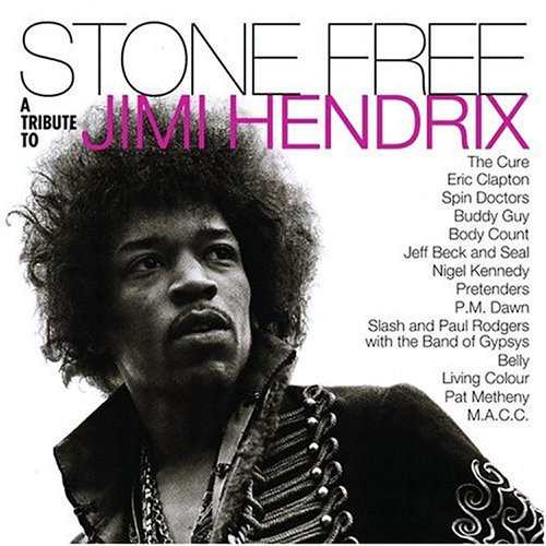 Various - Stone Free (A Tribute To Jimi Hendrix) - 2LP