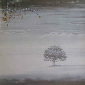Genesis - Wind & Wuthering - LP bazar