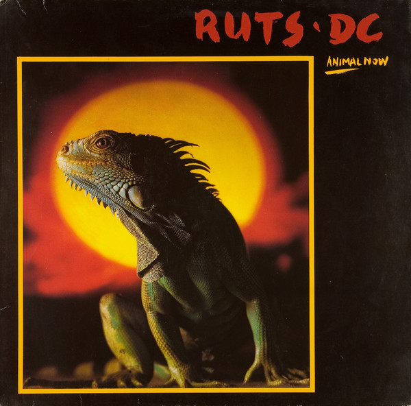 Ruts DC - Animal Now - LP bazar - Kliknutím na obrázek zavřete