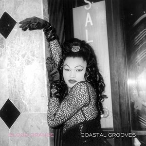 Blood Orange - Coastal Grooves - CD - Kliknutím na obrázek zavřete