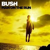 Bush - Man On The Run - CD