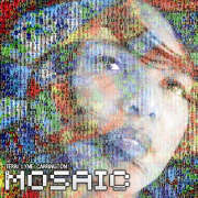 Terri Lyne Carrington - Mosaic Project - CD - Kliknutím na obrázek zavřete