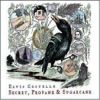 Elvis Costello - Secret, Profane And Sugarcane - CD - Kliknutím na obrázek zavřete