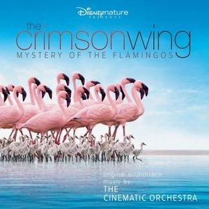Cinematic Orchestra - Crimson Wing - Mystery Of The Flamingos-CD - Kliknutím na obrázek zavřete