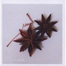 Susumu Yokota - Mother - CD - Kliknutím na obrázek zavřete