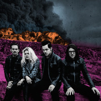 Dead Weather - Dodge & Burn - CD