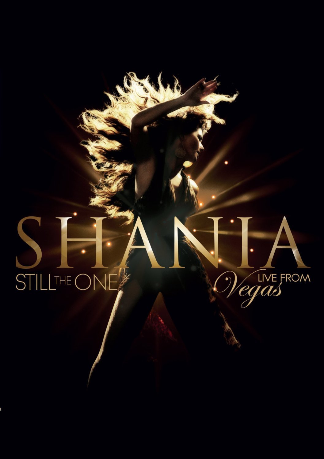 Shania Twain - Still The One - DVD - Kliknutím na obrázek zavřete