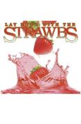 Strawbs - Lay Down With The Strawbs - DVD - Kliknutím na obrázek zavřete