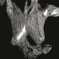 Oceansize - Self Preserved While The Bodies Float Up - CD Oceansize - Self Preserved While The Bodies Float Up - CD
