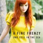 A Fine Frenzy - One Cell In the Sea - CD - Kliknutím na obrázek zavřete