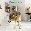 Grinderman (Nick Cave) - Grinderman 2 - CD