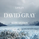 David Gray - Life In Slow Motion - CD