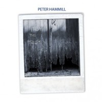 Peter Hammill - From The Trees - LP
