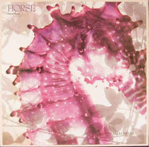Horse – Sweet Thing - 12´´ bazar - Kliknutím na obrázek zavřete