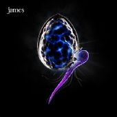 James - Night Before - CD James - Night Before - CD