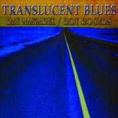 Ray Manzarek - Translucent Blues - CD - Kliknutím na obrázek zavřete