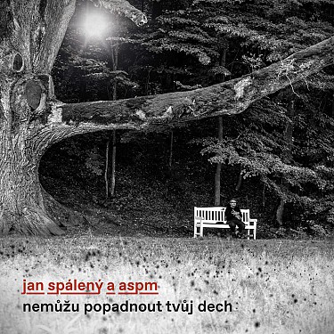 Jan Spálený&ASPM - Nemuzu Popadnout Tvuj Dech - CD