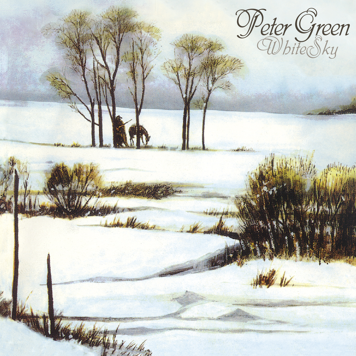 Peter Green - White Sky - CD - Kliknutím na obrázek zavřete