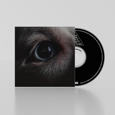 Roger Waters - Dark Side Of The Moon Redux - CD
