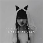 David Sylvian - Sleepwalkers - CD - Kliknutím na obrázek zavřete
