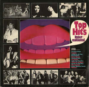 Various ‎– Top Hits International - LP bazar