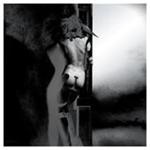 U.N.K.L.E. - Answer - CD U.N.K.L.E. - Answer - CD