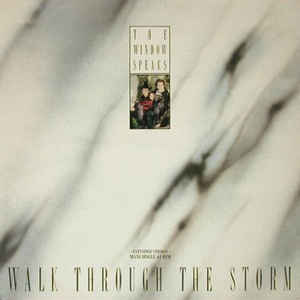 Window Speaks ‎– Walk Through The Storm - 12´´ bazar