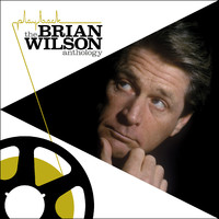 Brian Wilson - Playback The Brian Wilson Anthology - CD